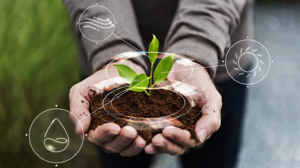 bioinsumos; agricultura sustentável; fertilizantes;
