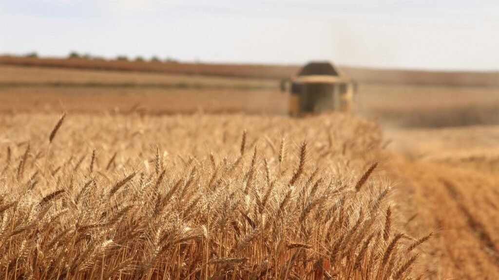 Agricultura de precisão